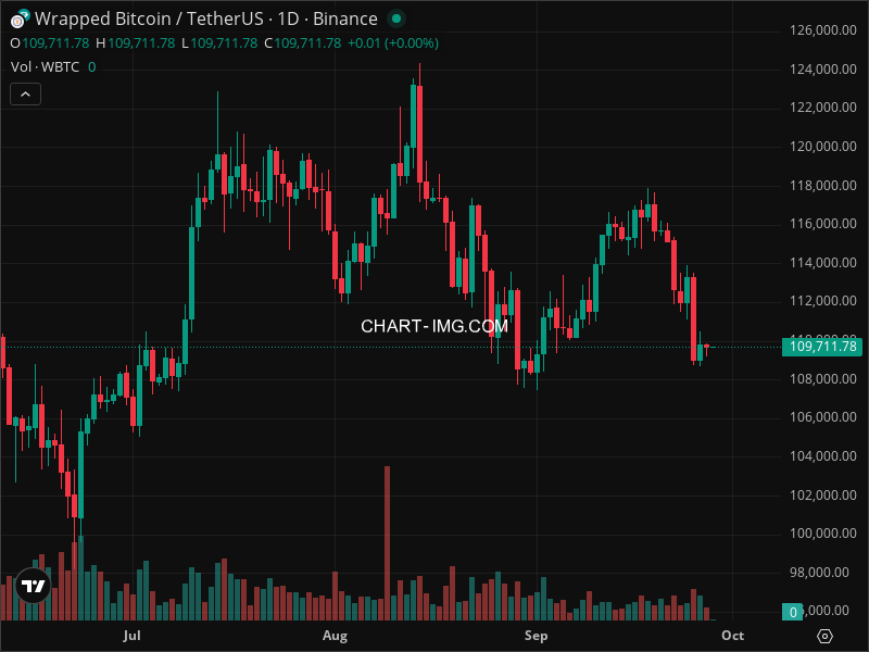 Mini Boletim Wrapped Bitcoin (#WBTC)