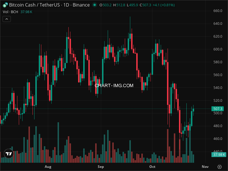 Mini Boletim Bitcoin Cash (#BCH)