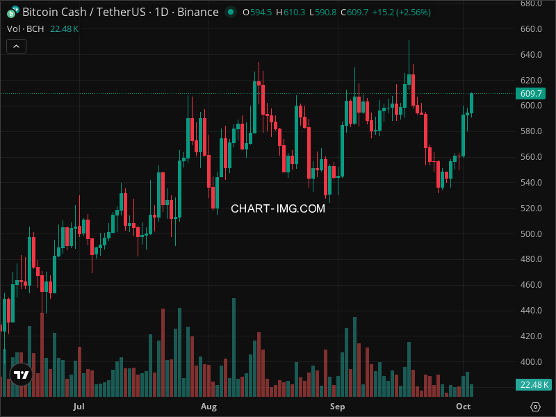 Mini Boletim Bitcoin Cash (#BCH)