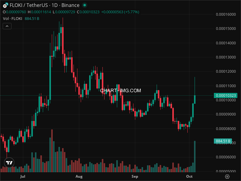 Mini Boletim FLOKI (#FLOKI)