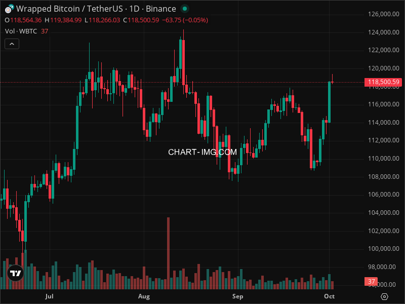 Mini Boletim Wrapped Bitcoin (#WBTC)
