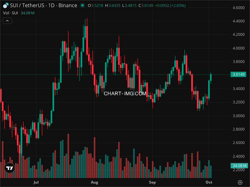 Mini Boletim Sui (#SUI)