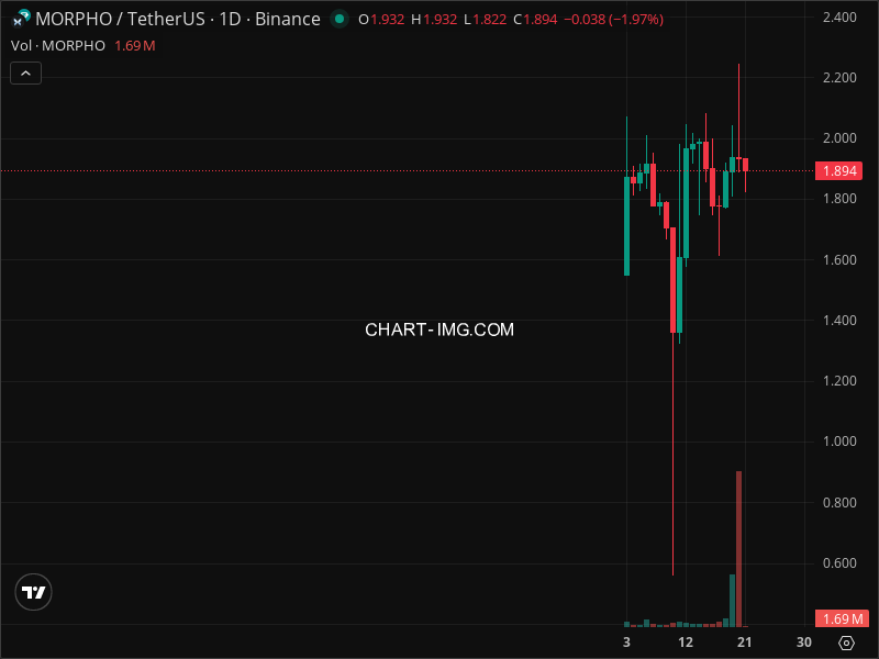 Mini Boletim Morpho (#MORPHO)