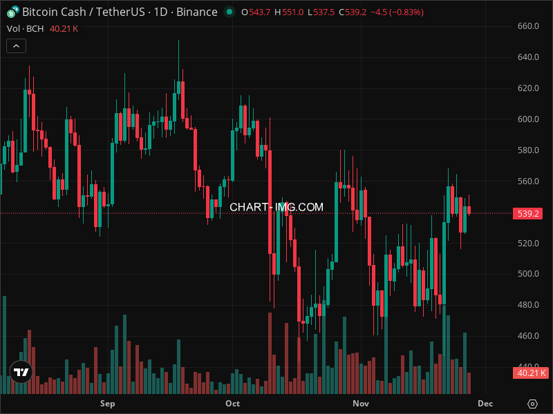 Mini Boletim Bitcoin Cash