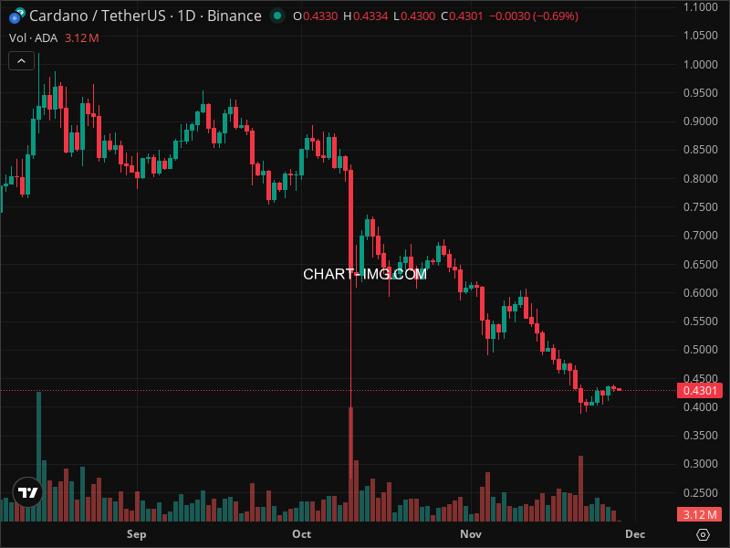 Mini Boletim Cardano