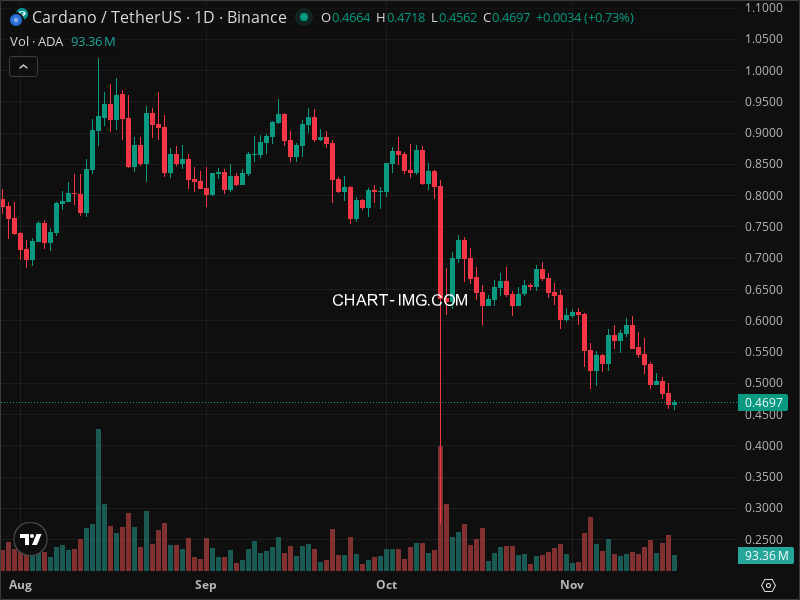Mini Boletim Cardano