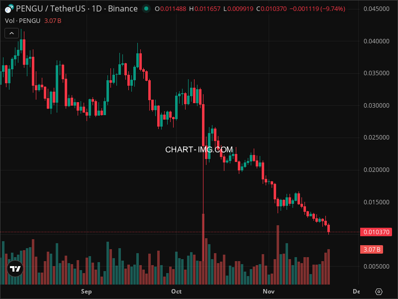 Mini Boletim Pudgy Penguins