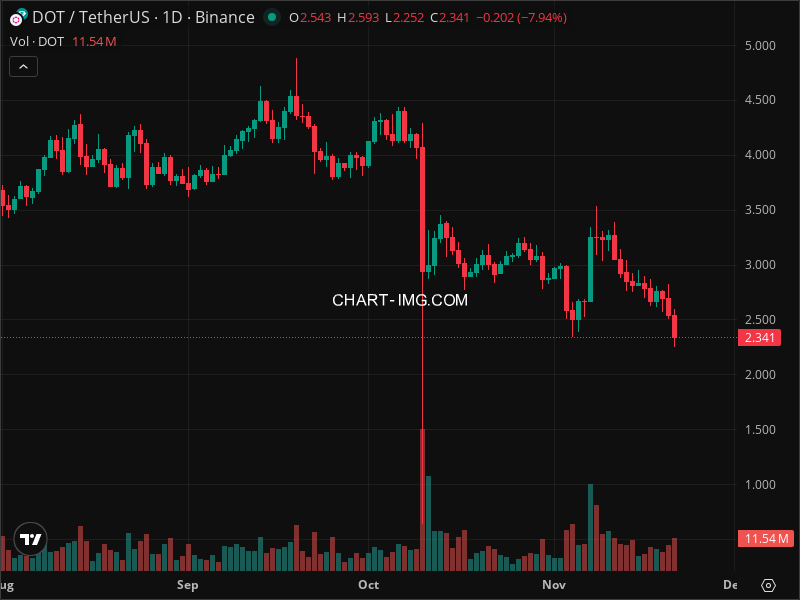 Mini Boletim Polkadot