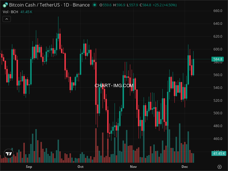 Mini Boletim Bitcoin Cash