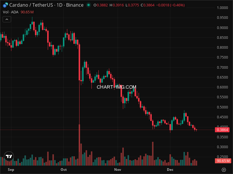 Mini Boletim Cardano