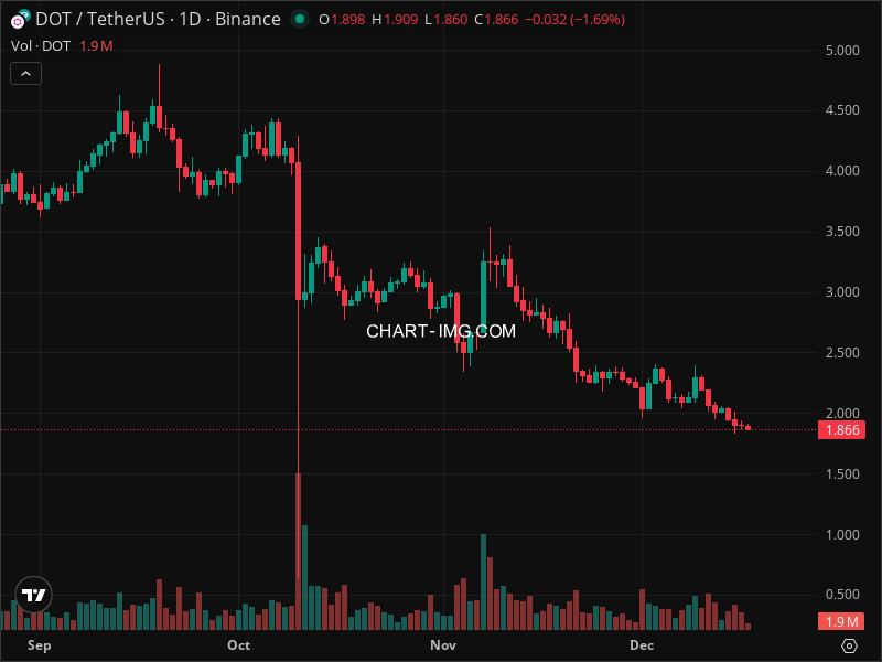 Mini Boletim Polkadot