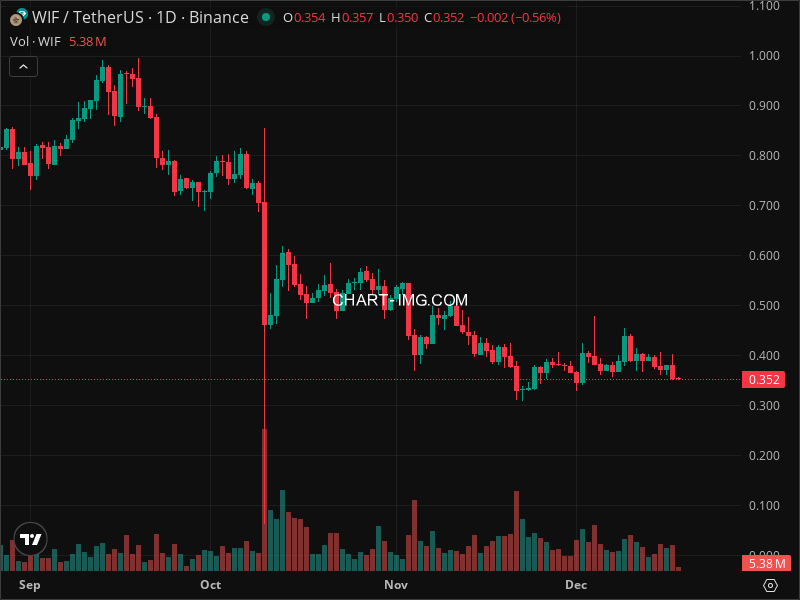 Mini Boletim dogwifhat