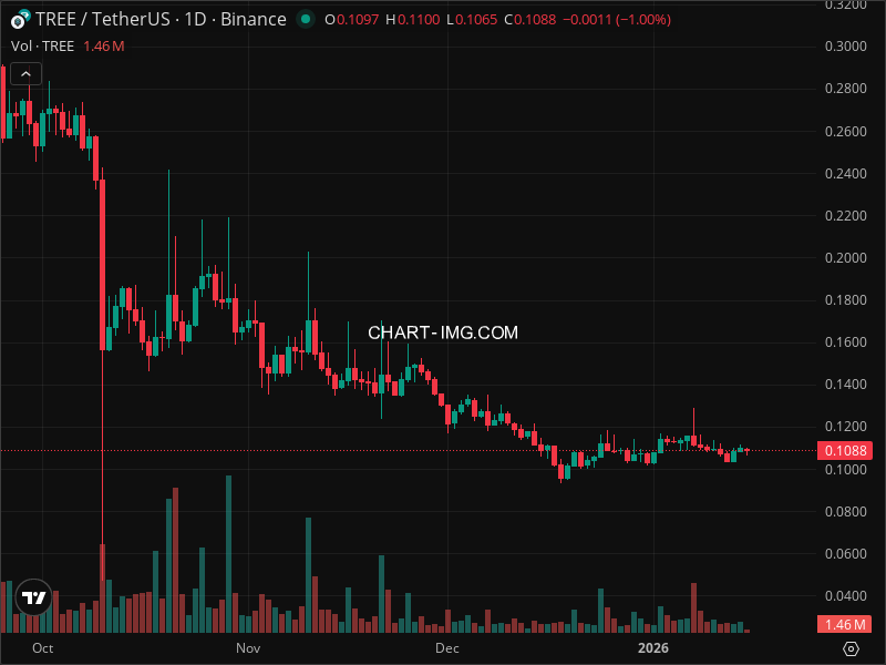 Mini Boletim Treehouse