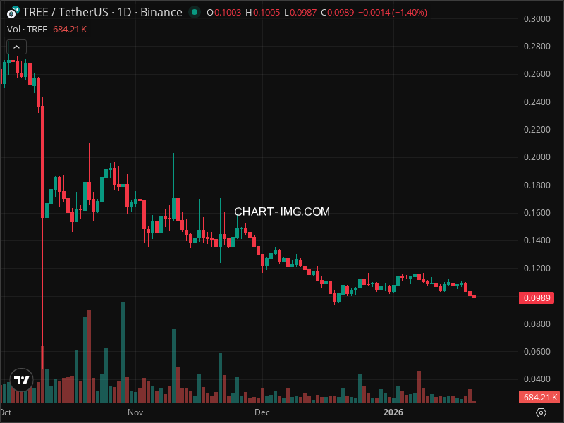 Mini Boletim Treehouse