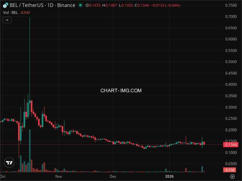 Mini Boletim Bella Protocol
