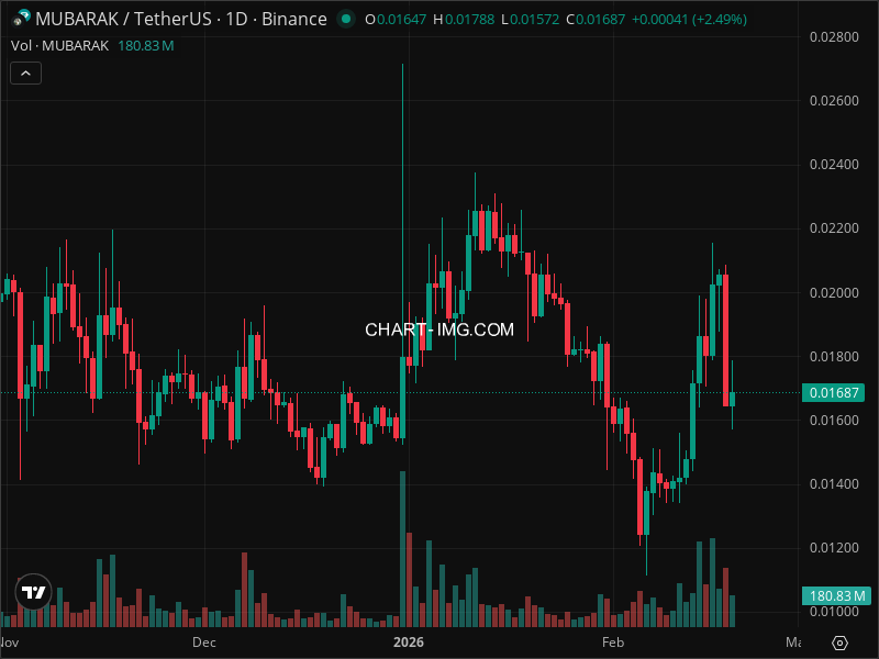 Mini Boletim Mubarak