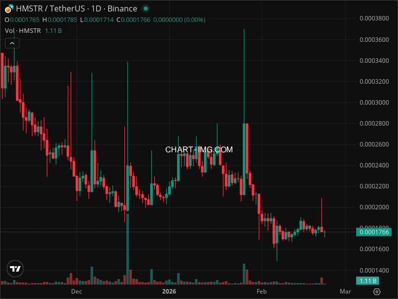 Mini Boletim Hamster Kombat